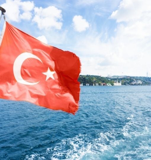 Bosphorus Night Cruise with Fish & Chips