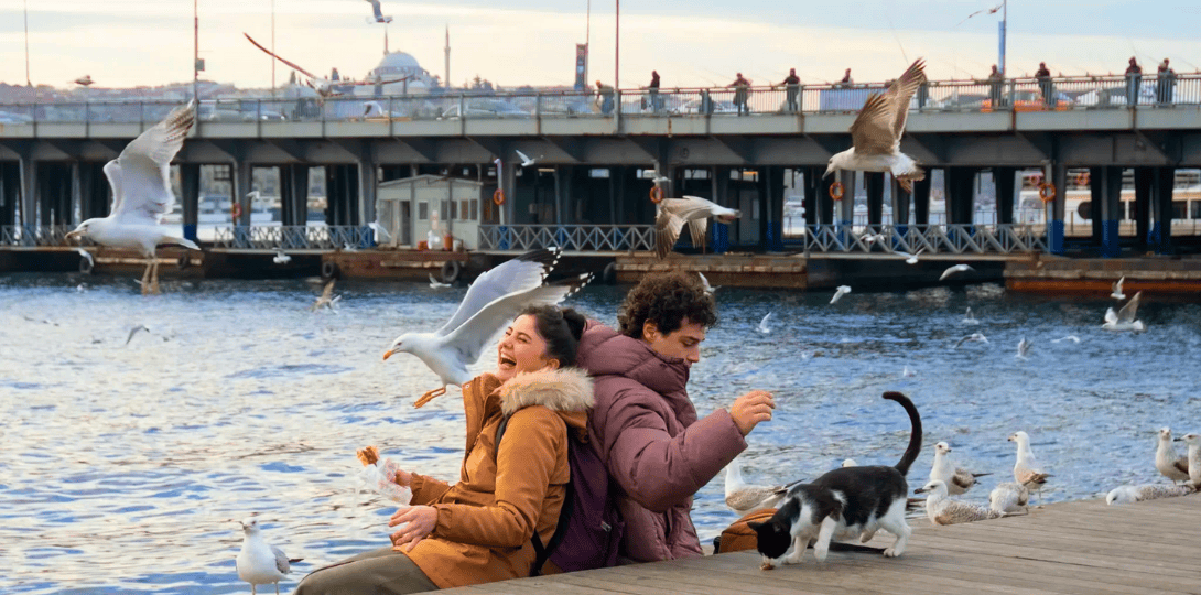 دليل مواقع تصوير Istanbul Encyclopedia | نصائح سفر لسلسلة نتفليكس