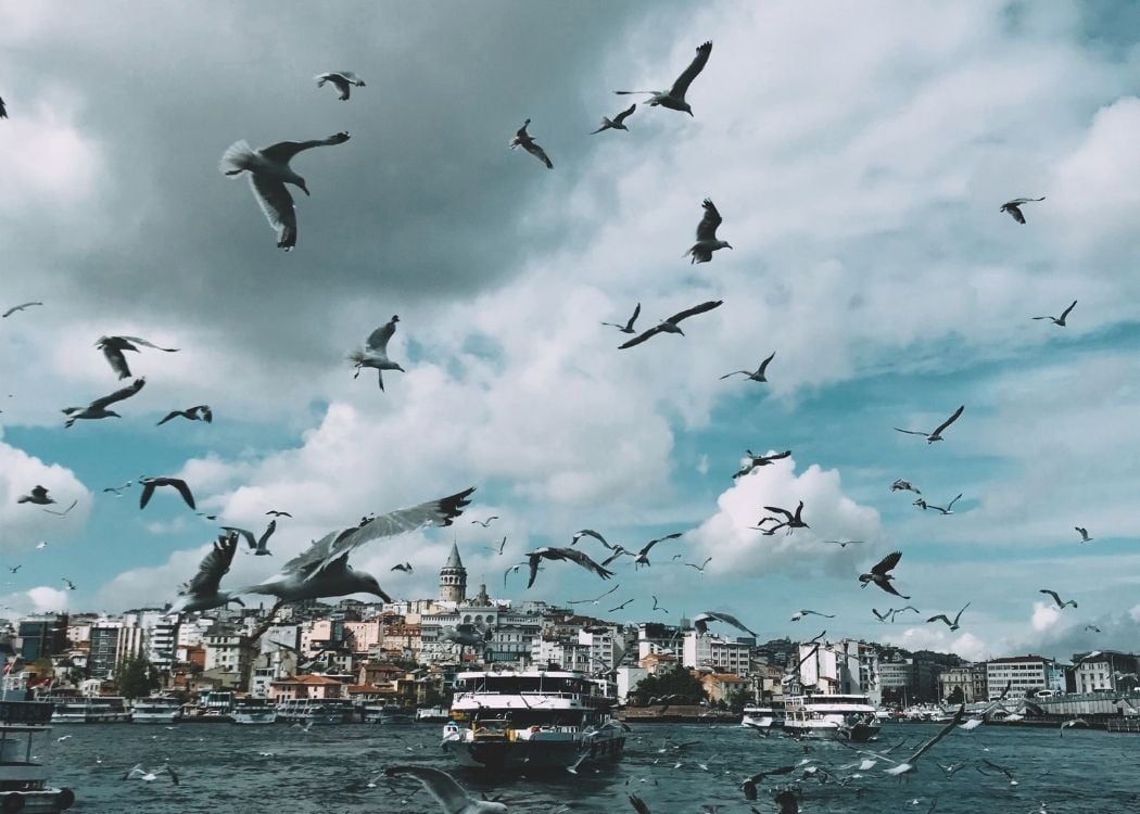 Лучшие события в Стамбуле зимой 2026