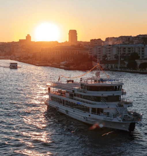 Midnight Bosphorus Cruise Guide: Nightlife, Food and Local Tips