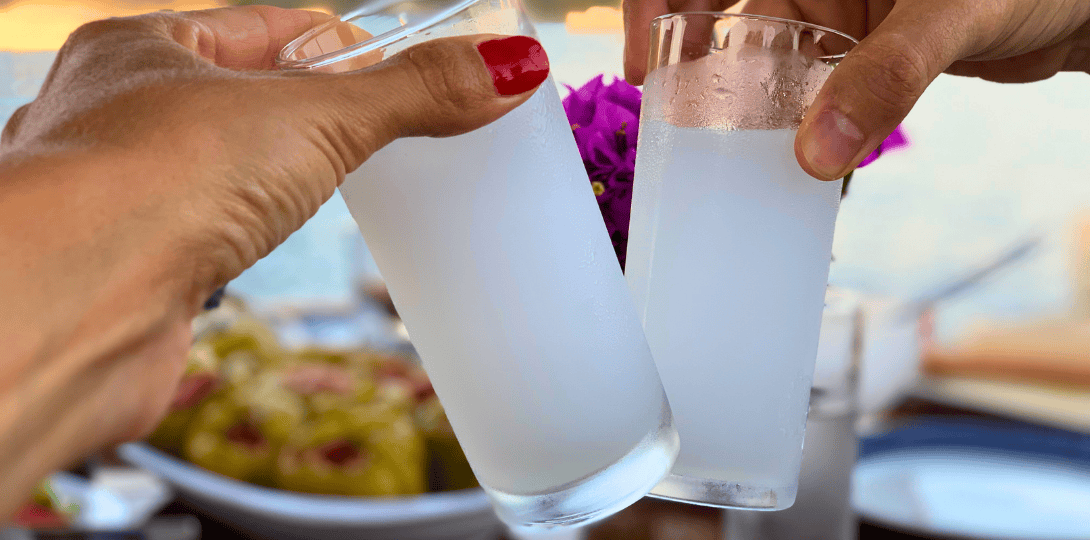 이스탄불의 라키 나이트: 현지인의 사자 Milk 문화 가이드