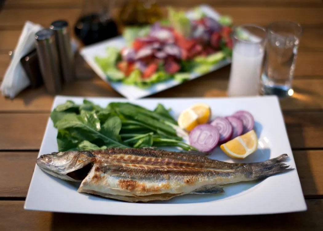 turkish_raki_drinking_culture_istanbul