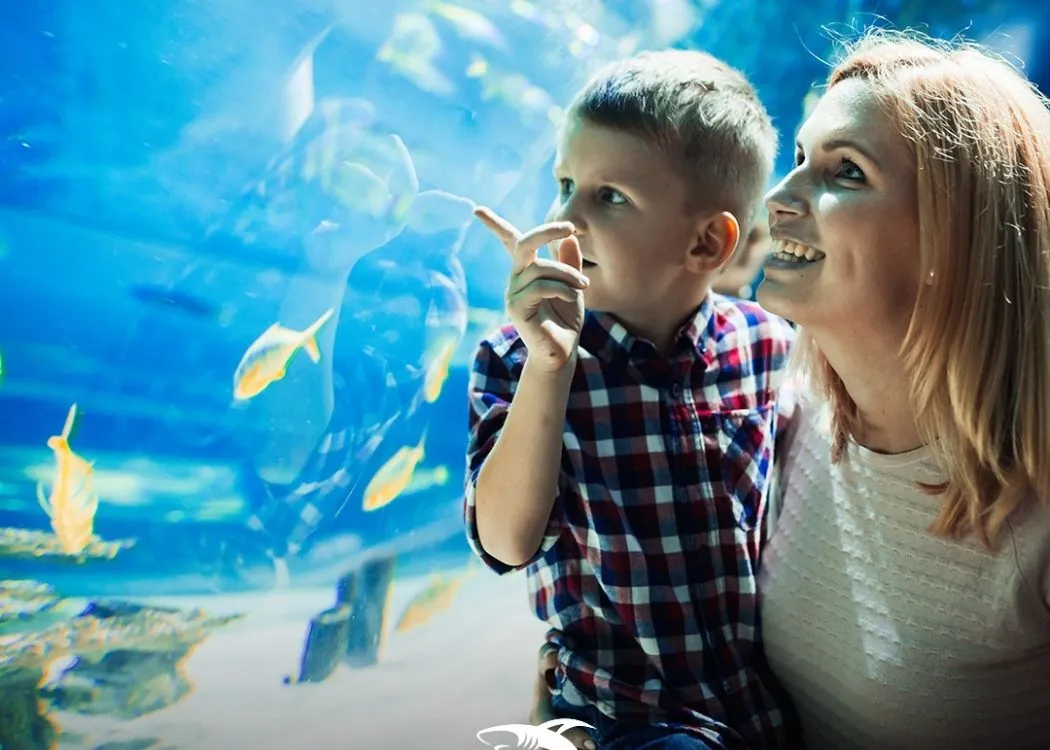 Exploring_Kadikoy_istanbul_Lively_Guide_for_2025_tickets_online_pass_new