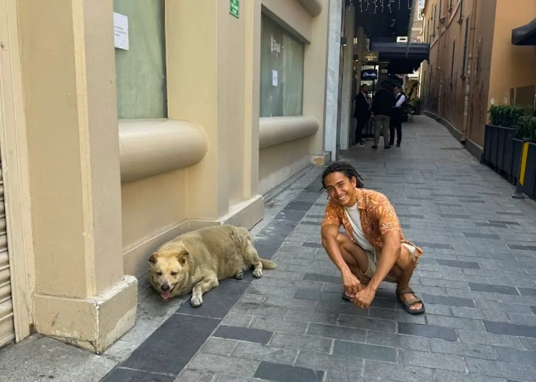 the_boulder_dog_istanbul_most_popular_attraction_2