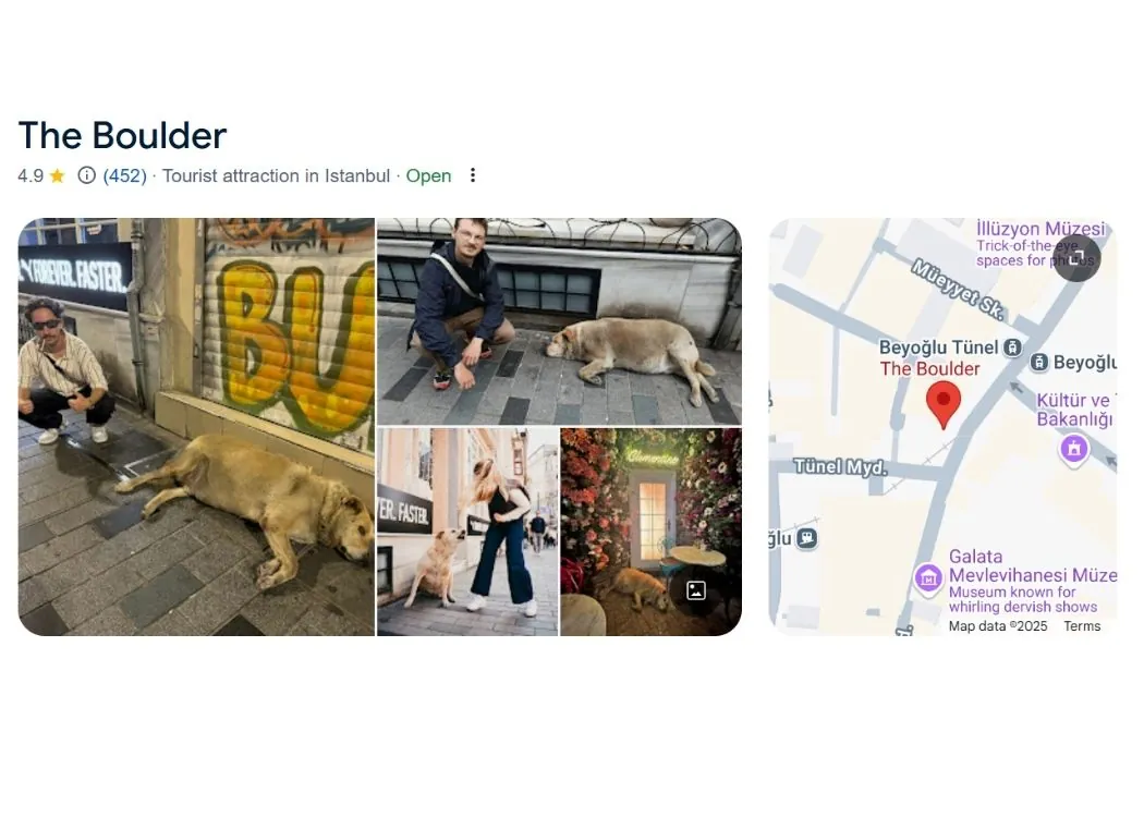 the_boulder_dog_istanbul_most_popular_attraction_1
