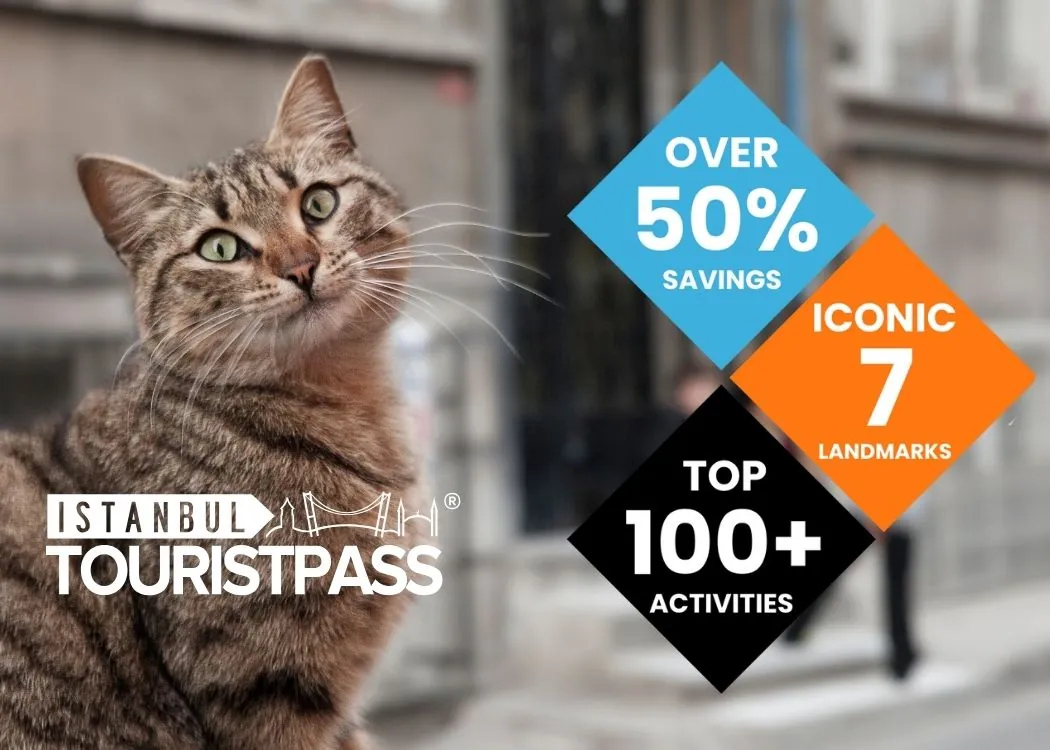 the_boulder_dog_istanbul_most_popular_attraction