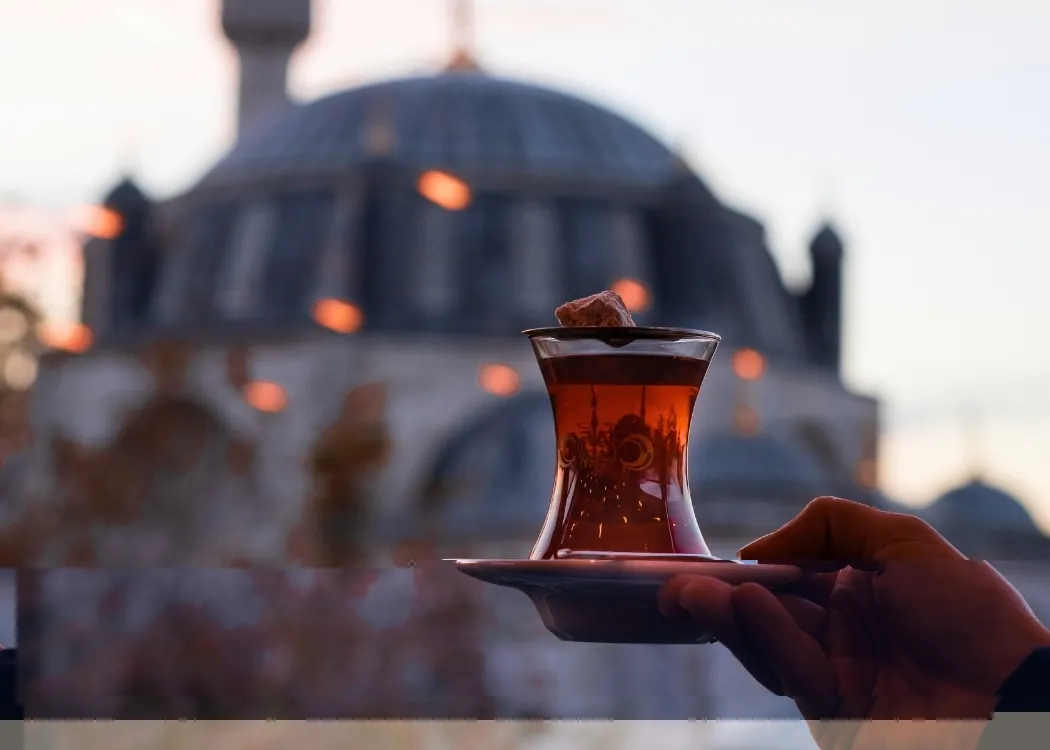 44_Istanbul_film_festival_tea