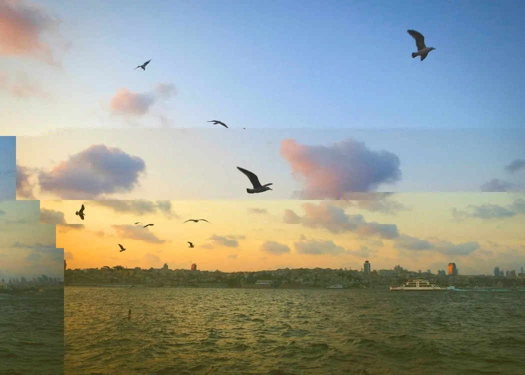 Visa_Requirements_for_Visiting_Istanbul_Turkey_2025_6